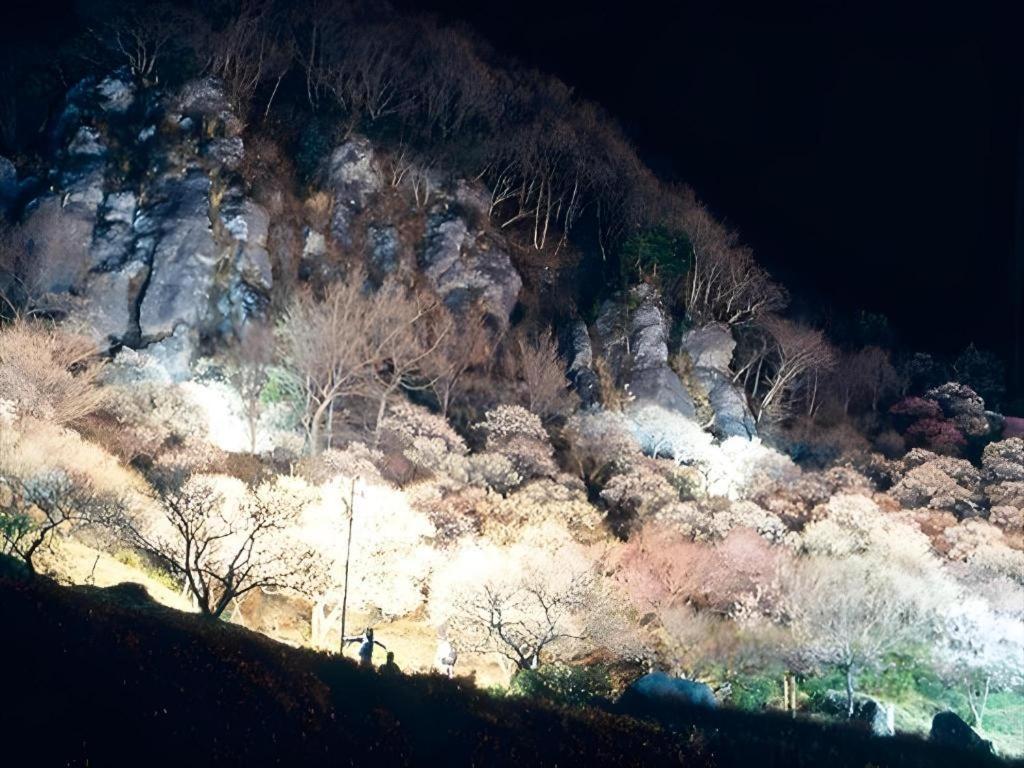 Corredor Yugawara Dog＆Resort Atami (Shizuoka) Exterior foto