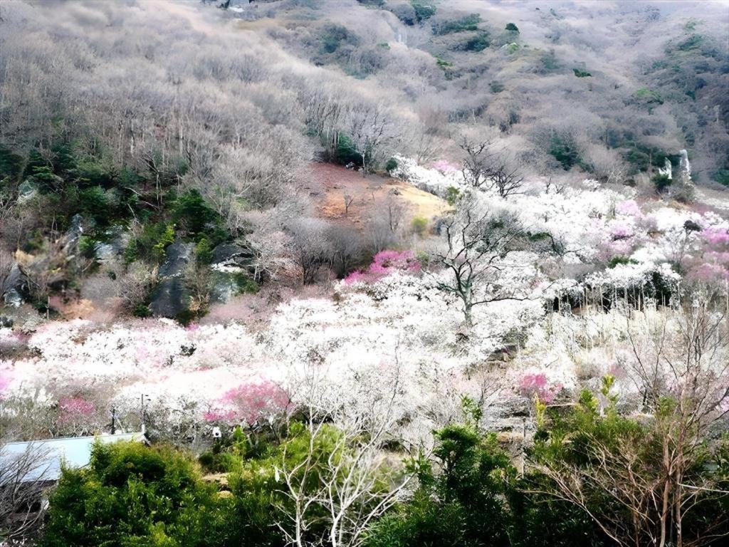 Corredor Yugawara Dog＆Resort Atami (Shizuoka) Exterior foto